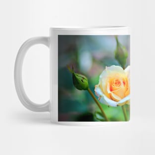 Mellow Yellow Mug